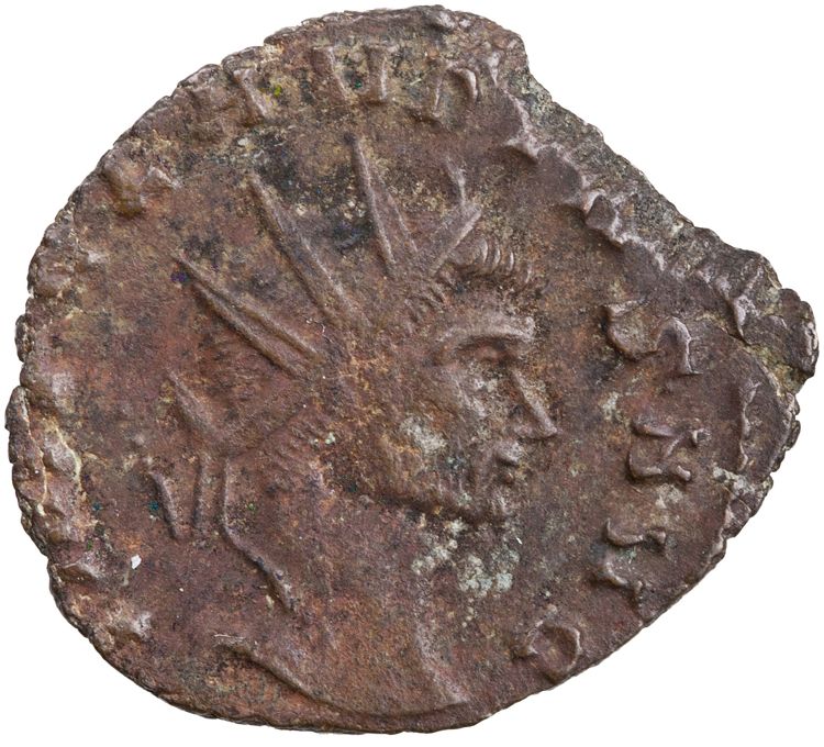 RIC V Claudius Gothicus 33, obverse, American Numismatic Society (ans)