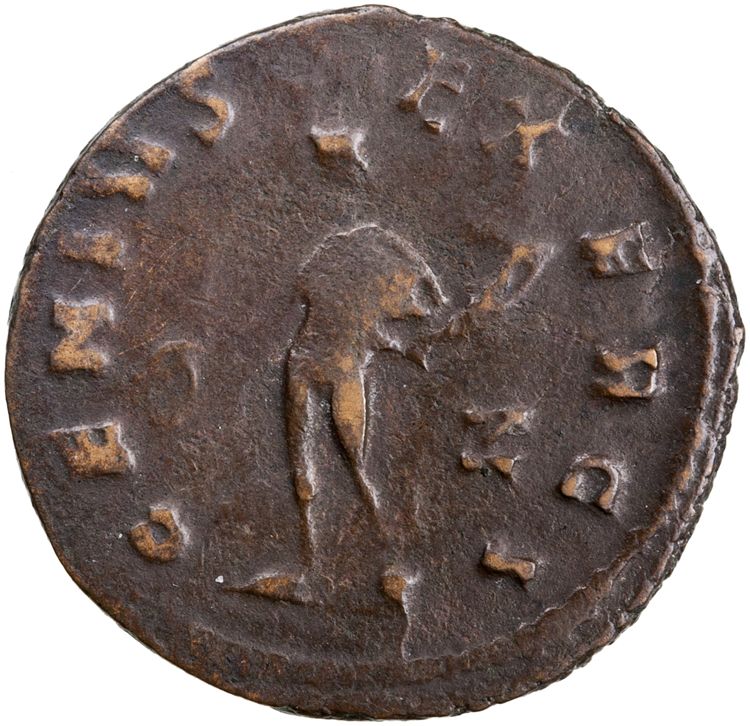 reverse RIC V Claudius Gothicus 49