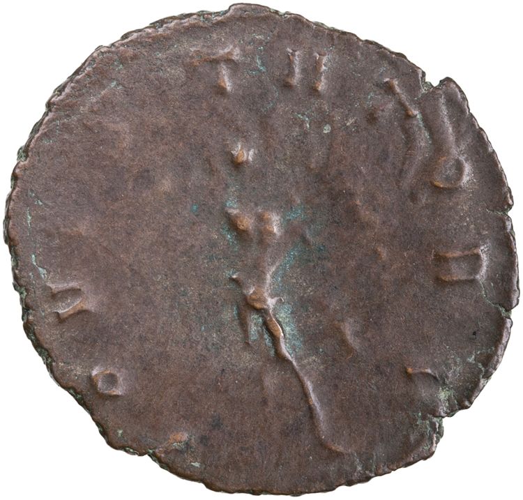 reverse RIC V Claudius Gothicus 52