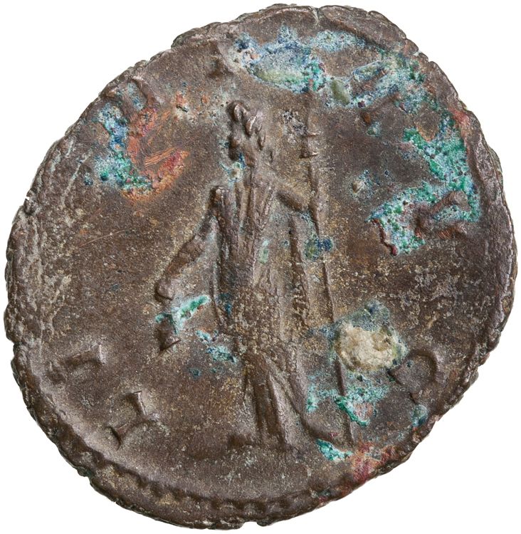 reverse RIC V Claudius Gothicus 62