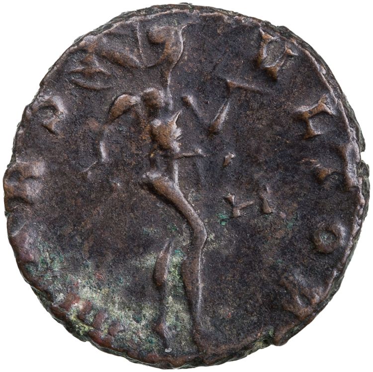reverse RIC V Claudius Gothicus 67
