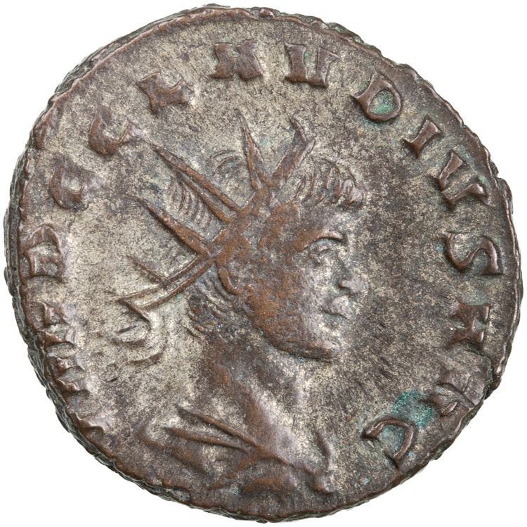 RIC V Claudius Gothicus 98, obverse, American Numismatic Society (ans)