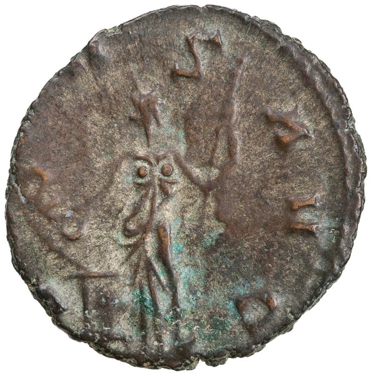 RIC V Claudius Gothicus 98, reverse, American Numismatic Society (ans)
