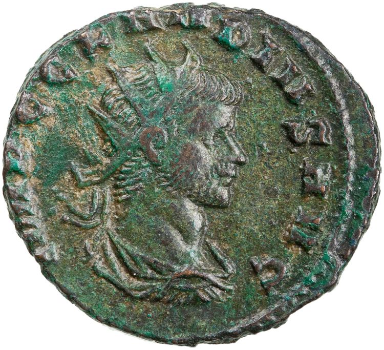RIC V Claudius Gothicus 98, obverse, American Numismatic Society (ans)