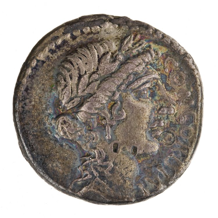 RRC 436/1, аверс, American Numismatic Society (ans)