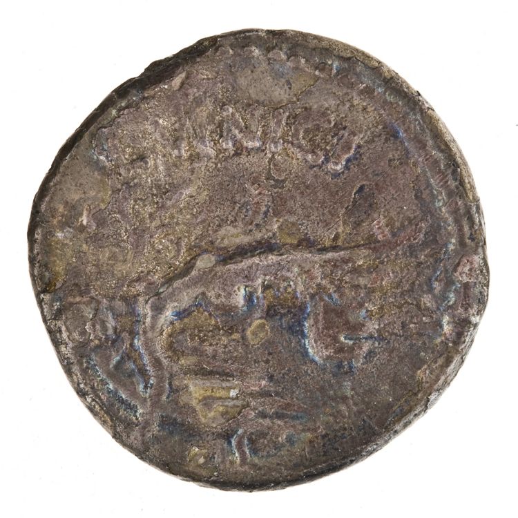 RRC 436/1, реверс, American Numismatic Society (ans)