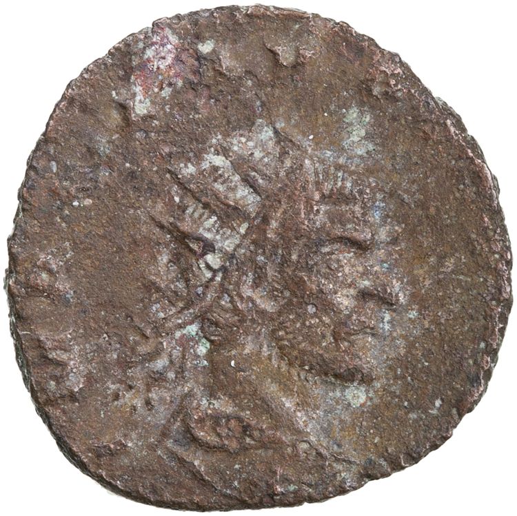 RIC V Claudius Gothicus 195, аверс, American Numismatic Society (ans)