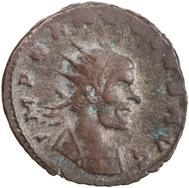 RIC V Claudius Gothicus 195, аверс, American Numismatic Society (ans)