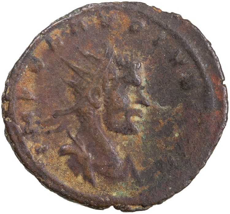RIC V Claudius Gothicus 195, аверс, American Numismatic Society (ans)