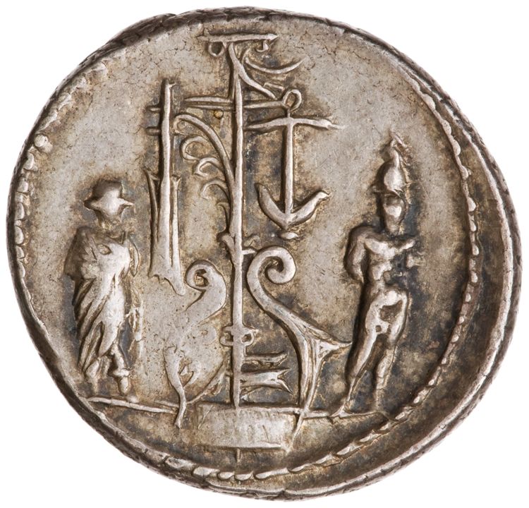 RRC 438/1, реверс, American Numismatic Society (ans)