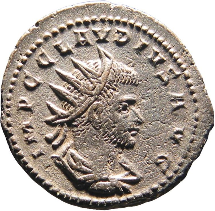 аверс RIC V Claudius Gothicus 217