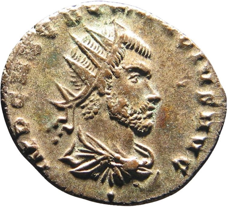 RIC V Claudius Gothicus 233, аверс, American Numismatic Society (ans)