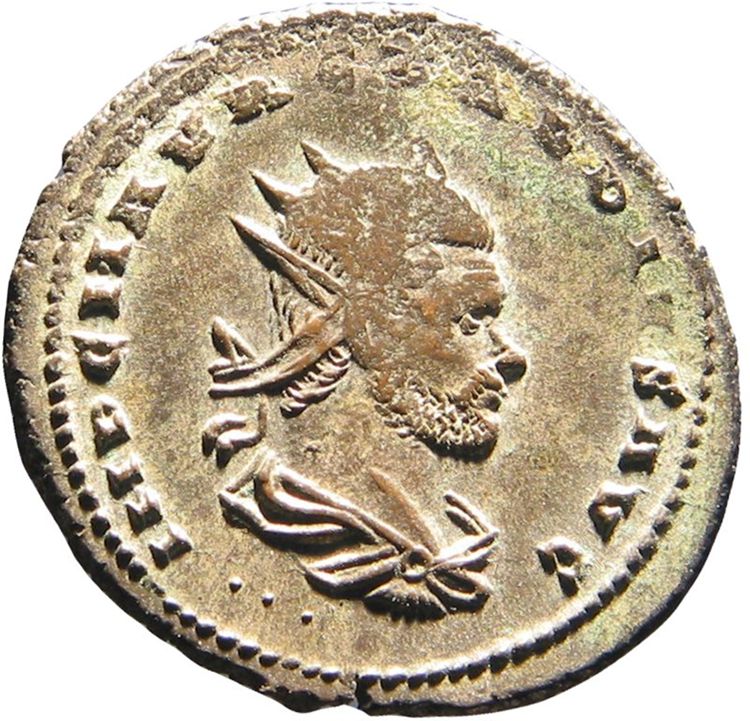 RIC V Claudius Gothicus 237, аверс, American Numismatic Society (ans)