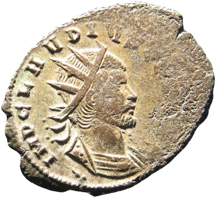 RIC V Claudius Gothicus 252, аверс, American Numismatic Society (ans)