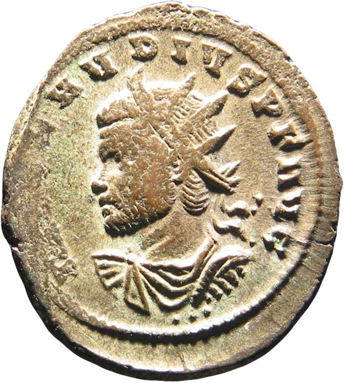 RIC V Claudius Gothicus 254, obverse, American Numismatic Society (ans)