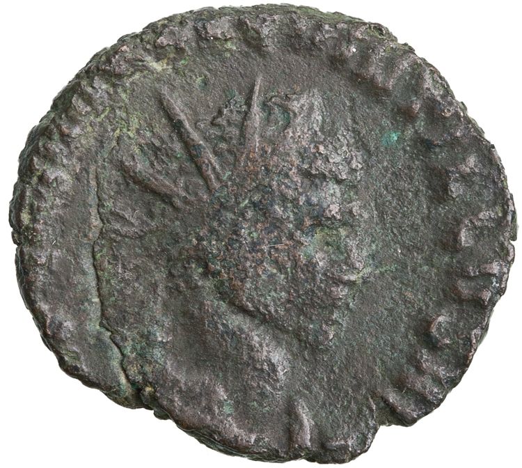RIC V Quintillus 9, аверс, American Numismatic Society (ans)