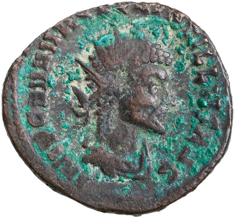 RIC V Quintillus 9, аверс, American Numismatic Society (ans)