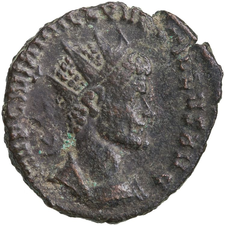RIC V Quintillus 25, аверс, American Numismatic Society (ans)