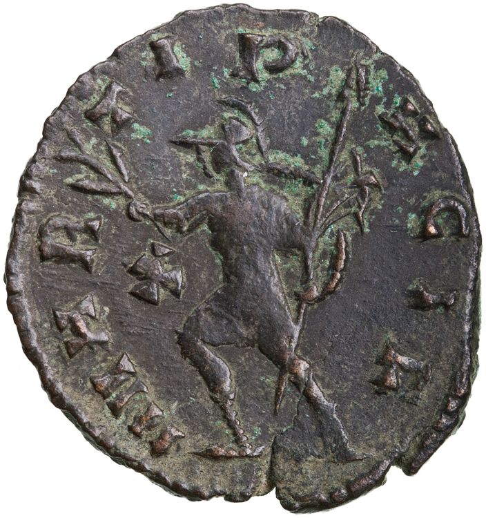 RIC V Quintillus 25, реверс, American Numismatic Society (ans)
