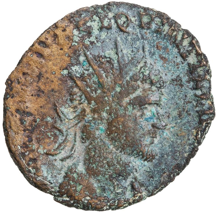 RIC V Quintillus 33, аверс, American Numismatic Society (ans)