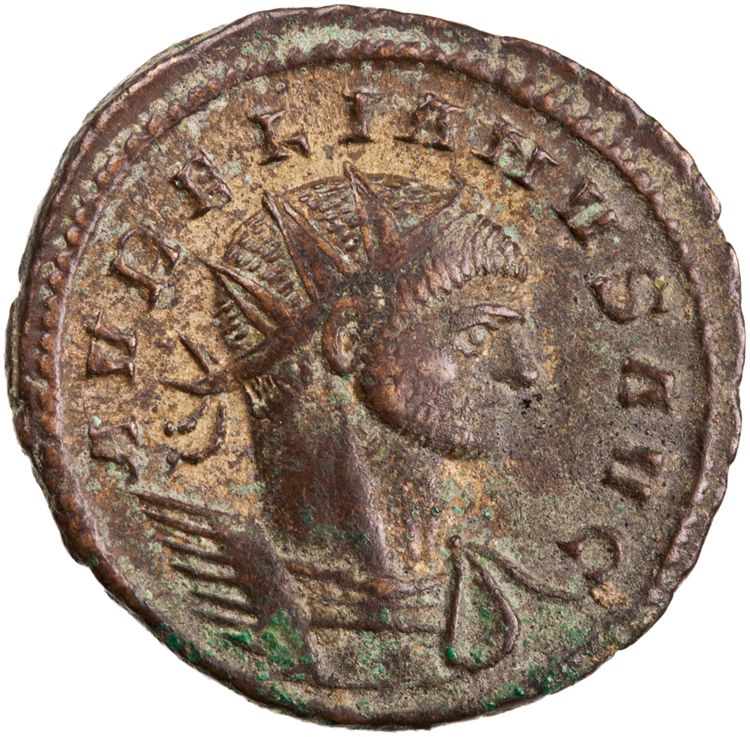 RIC V Aurelian 260, аверс, American Numismatic Society (ans)