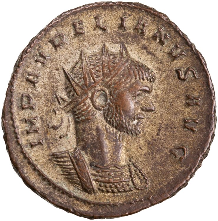 RIC V Aurelian 260, аверс, American Numismatic Society (ans)