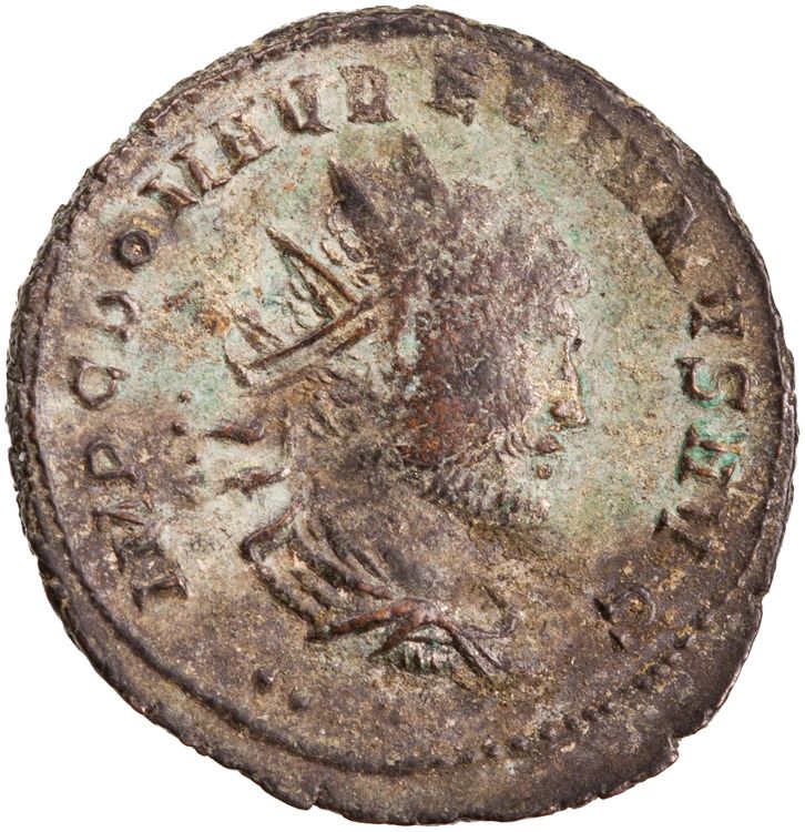 RIC V Aurelian 327, аверс, American Numismatic Society (ans)