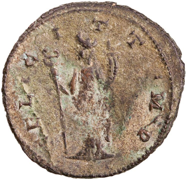 RIC V Aurelian 327, реверс, American Numismatic Society (ans)