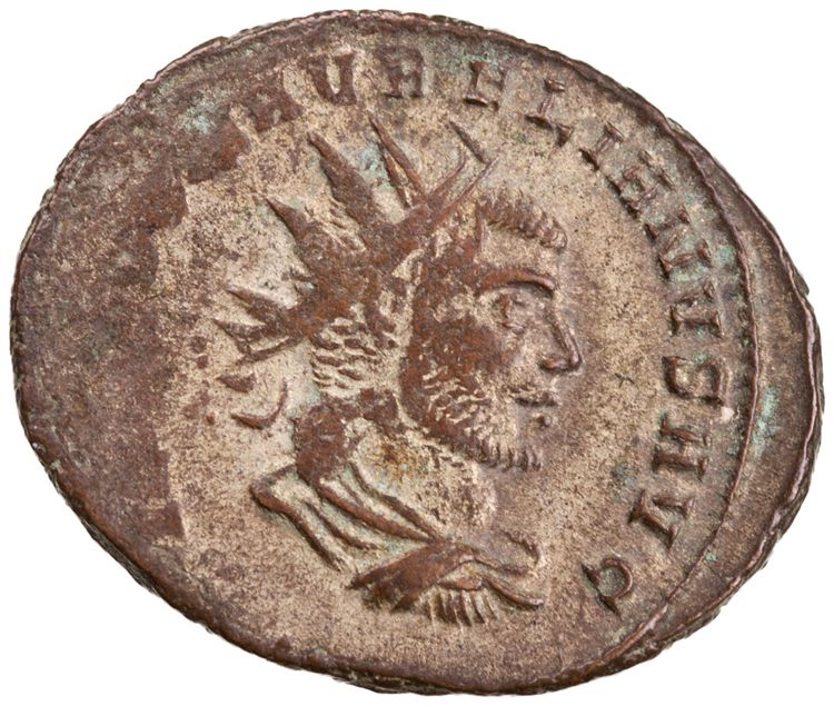 RIC V Aurelian 328c: Subtype 1, аверс, American Numismatic Society (ans)