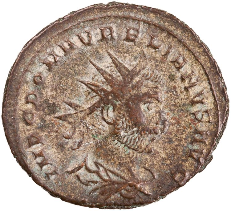RIC V Aurelian 331, аверс, American Numismatic Society (ans)