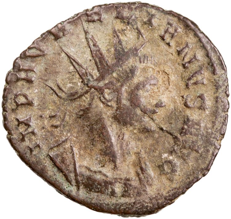 RIC V Aurelian 345, аверс, American Numismatic Society (ans)
