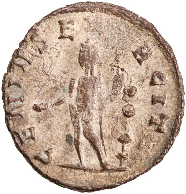 RIC V Aurelian 345, реверс, American Numismatic Society (ans)