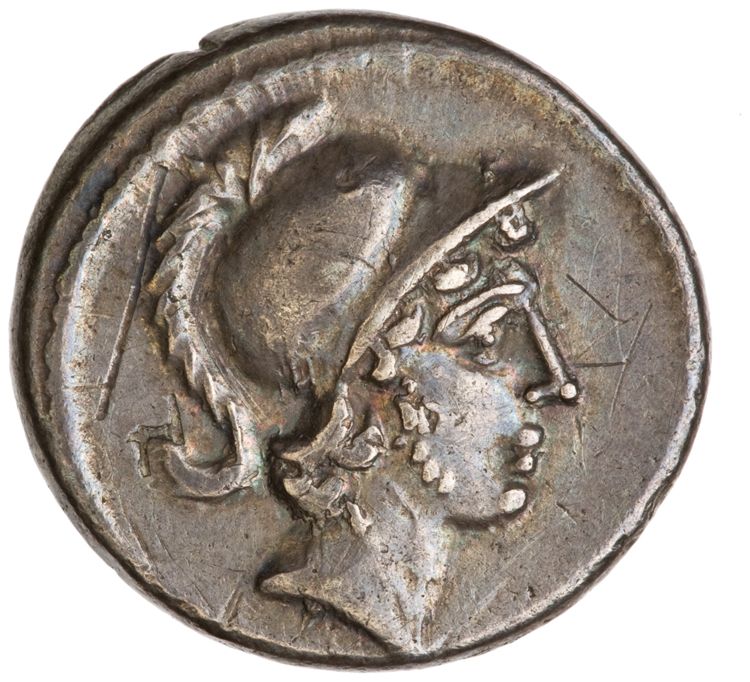 RRC 450/1b, аверс, American Numismatic Society (ans)