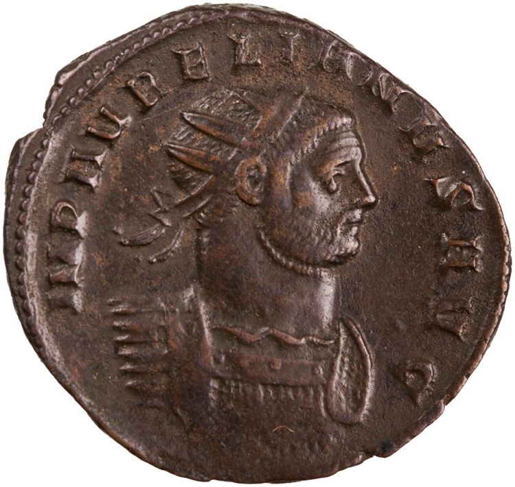 RIC V Aurelian 346, аверс, American Numismatic Society (ans)