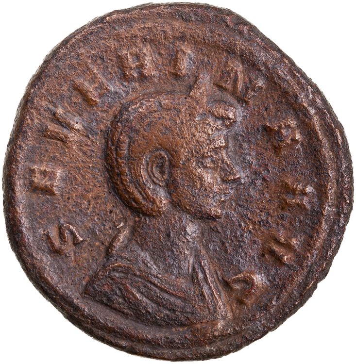 RIC V Severina 7, аверс, American Numismatic Society (ans)