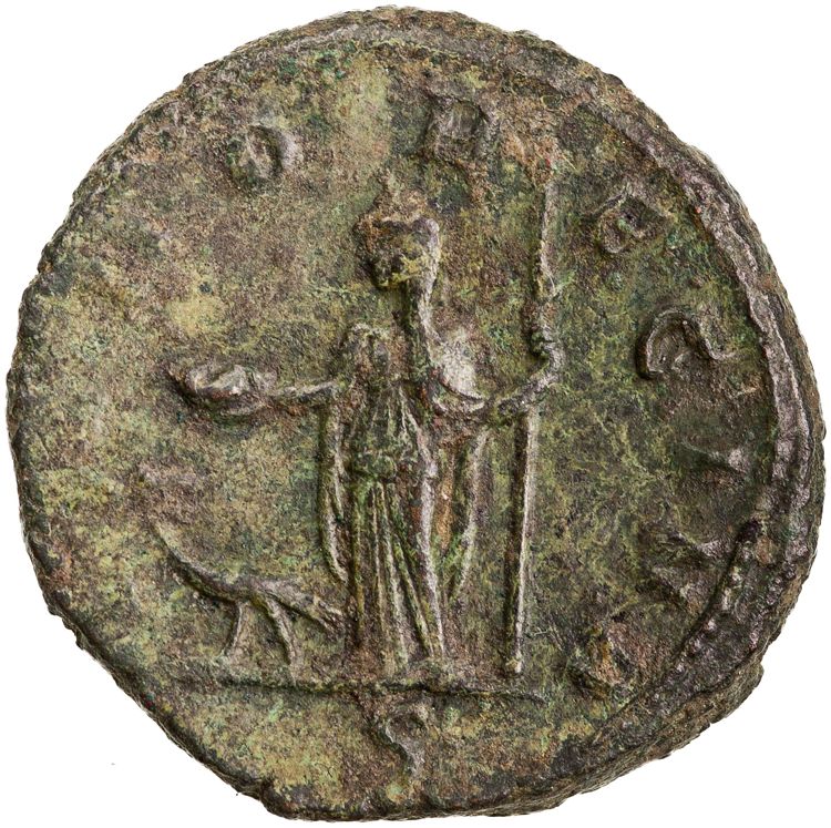 RIC V Severina 7, реверс, American Numismatic Society (ans)