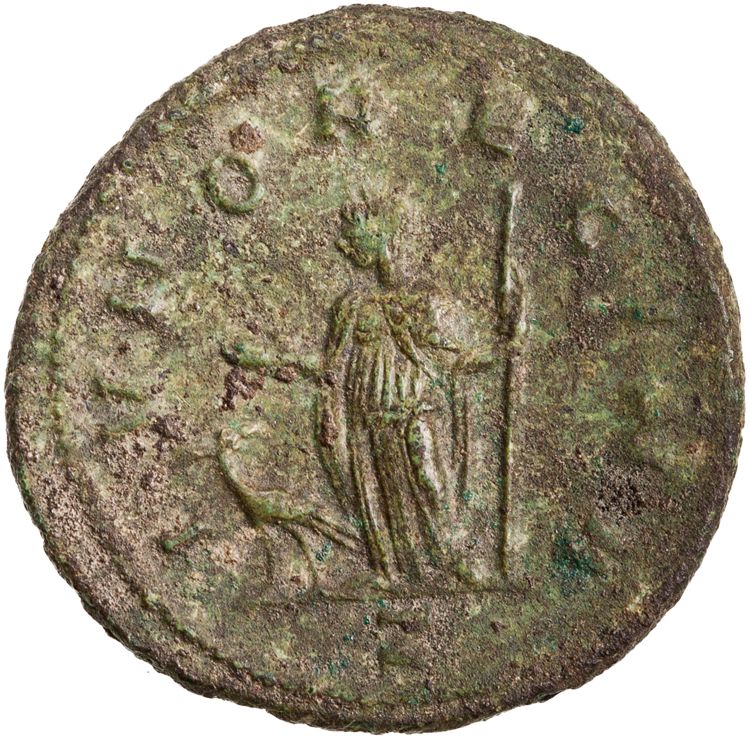 RIC V Severina 7, реверс, American Numismatic Society (ans)
