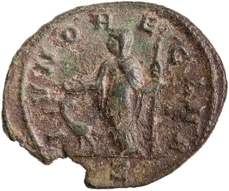 RIC V Severina 7, реверс, American Numismatic Society (ans)