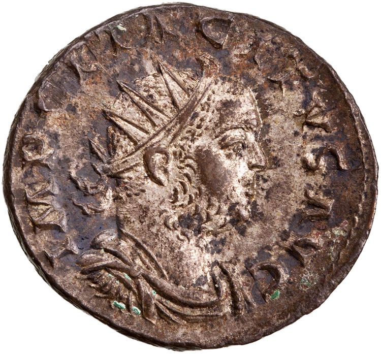 RIC V Tacitus 65, аверс, American Numismatic Society (ans)