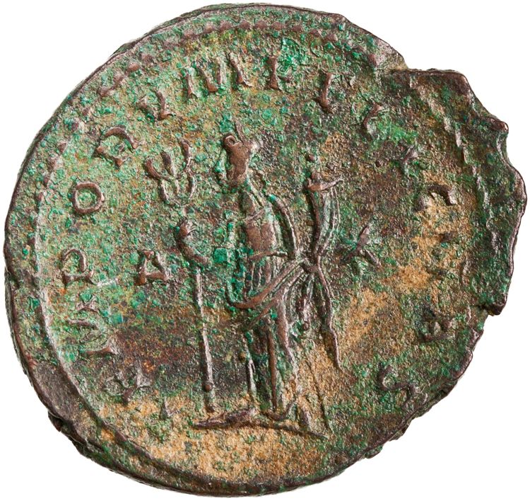 RIC V Tacitus 65, реверс, American Numismatic Society (ans)