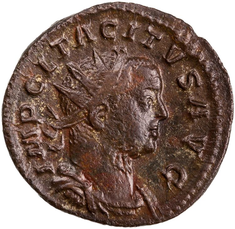 RIC V Tacitus 65, аверс, American Numismatic Society (ans)