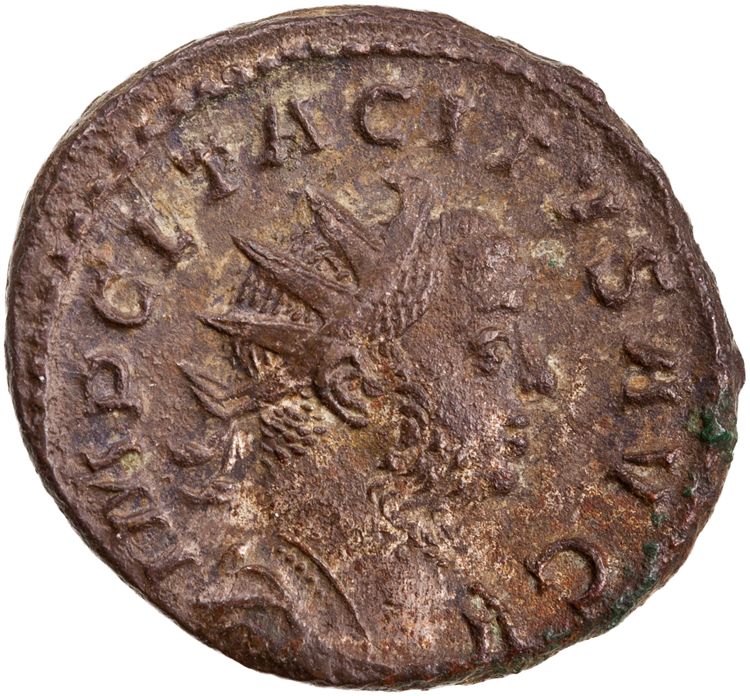 RIC V Tacitus 65, аверс, American Numismatic Society (ans)