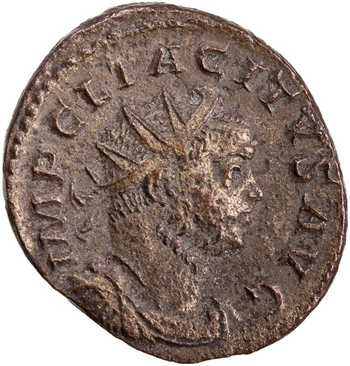 RIC V Tacitus 65, аверс, American Numismatic Society (ans)