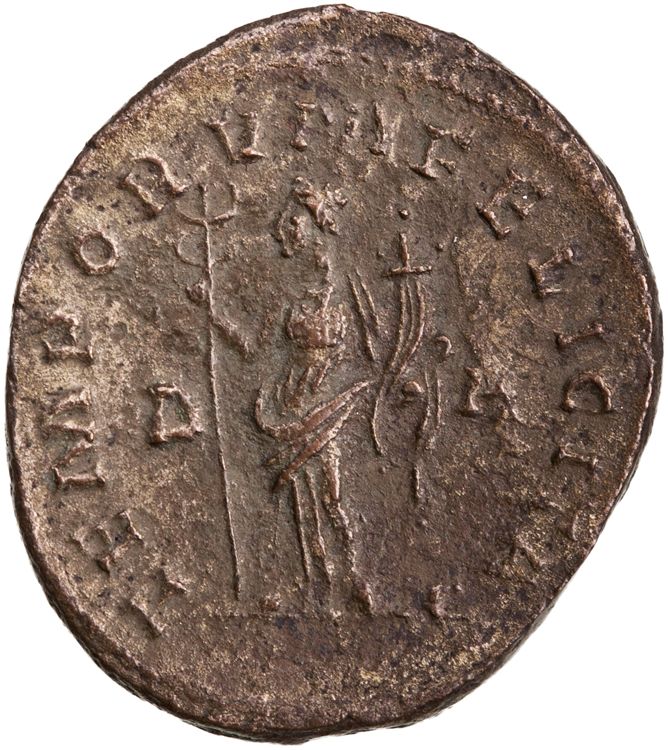RIC V Tacitus 65, реверс, American Numismatic Society (ans)