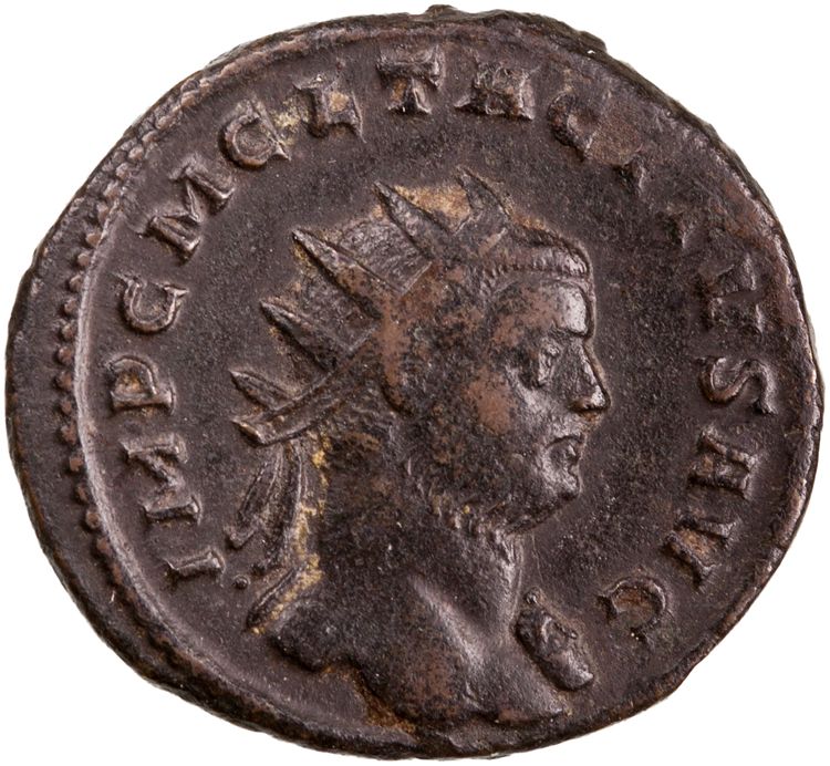 RIC V Tacitus 87, аверс, American Numismatic Society (ans)