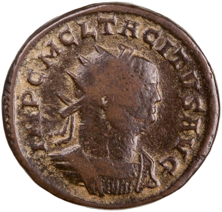 RIC V Tacitus 89, obverse, American Numismatic Society (ans)