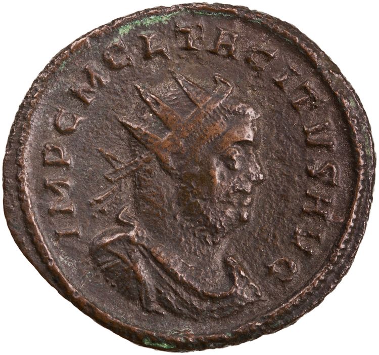 RIC V Tacitus 89, obverse, American Numismatic Society (ans)