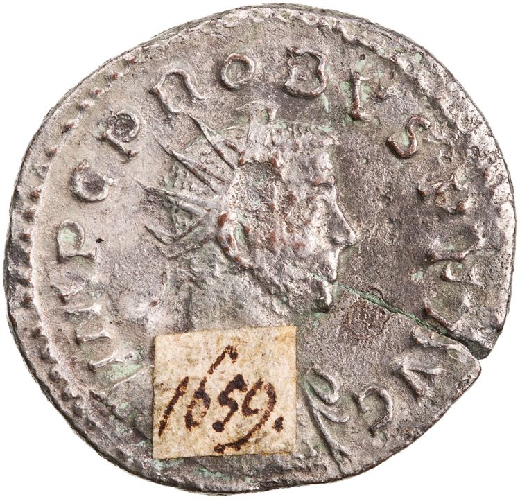 RIC V Probus 96, obverse, American Numismatic Society (ans)