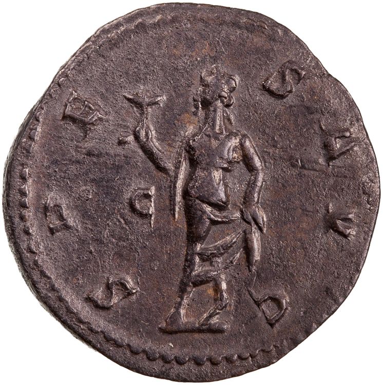 реверс RIC V Probus 128