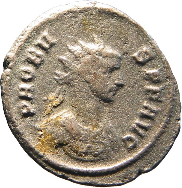 RIC V Probus 175, аверс, American Numismatic Society (ans)